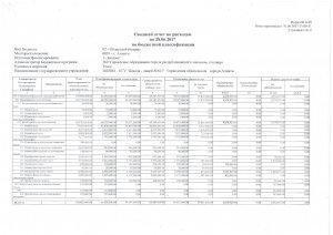 Сводный отчет по расходам