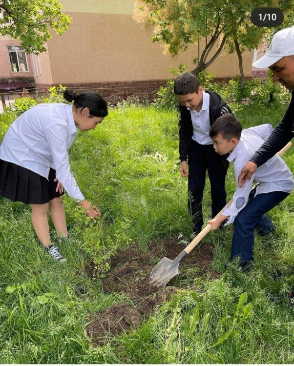 «Алматы бала фест» талантты балалар фестивалінің мектепшілік кезеңінің Экология және қоршаған орта бағыты бойынша “Мектеп ауласын абаттандыру:өз ағашы