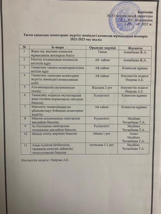 Мониторинг жұмыс жоспары