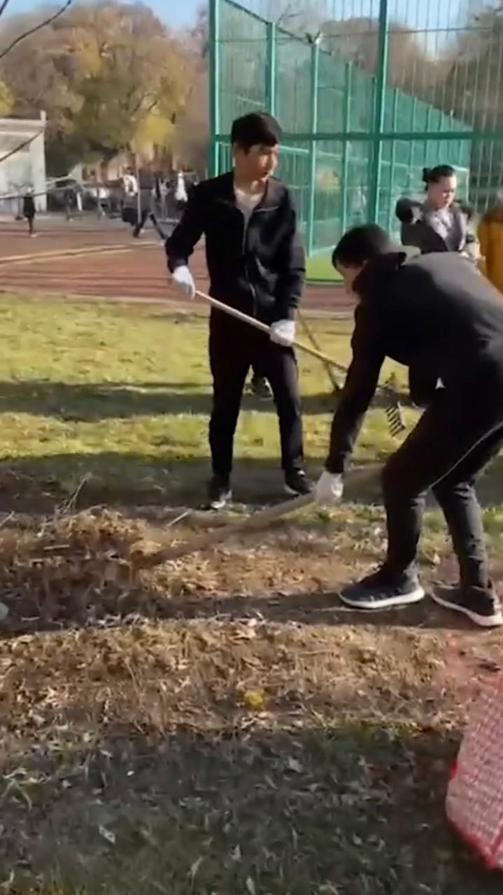 "Таза бейсенбі"